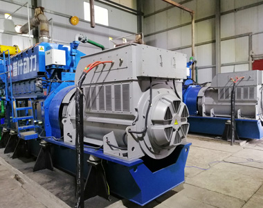 丰都甘泰沼气发电项目配马博_马博(中国)2台850KW/10.5KV6极高压发电机