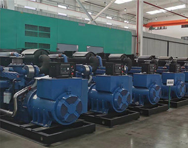 马博_马博(中国)500KW/400V陆用发电机应用于某养殖场项目