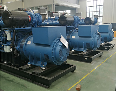 马博_马博(中国)800KW/400V陆用发电机应用于某养殖场项目