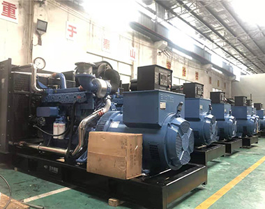 国内某养殖项目指定批量采用马博_马博(中国)500KW/400V陆用发电机