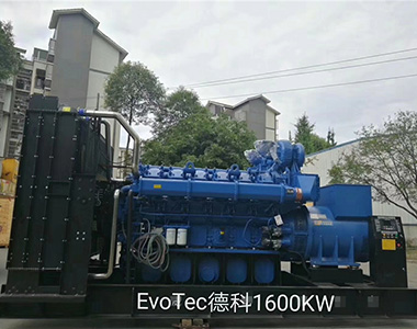 马博_马博(中国)1600KW/400V陆用发电机应用于某工厂项目